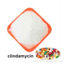 Factory Supply alcohol Clindamycin Powder for dogs